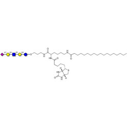 LS-Tetrasaccharide a (LSTa)  linked to biotin and stearic chain (Linker-BT-STEA A)