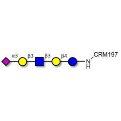 LS-Tetrasaccharide a (LSTa)  grafted on CRM197