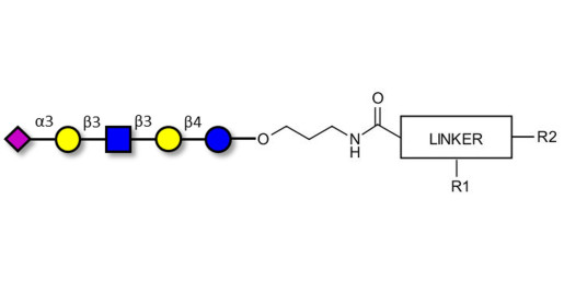LS-Tetrasaccharide a (LSTa)  with customizable dual functionalization  - Sialyl-lacto-N-tetraose a ; SLNT-a