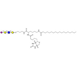 Sialylated tetraose type 2 linked to biotin and stearic chain (Linker-BT-STEA A)