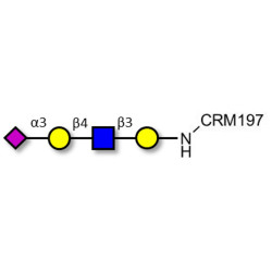 Sialylated tetraose type 2 grafted on CRM197