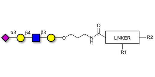 Sialylated tetraose type 2 with customizable dual functionalization 