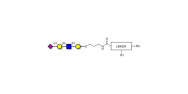 Sialylated tetraose type 2...