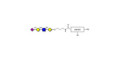 Sialylated tetraose type 2 with customizable dual functionalization 