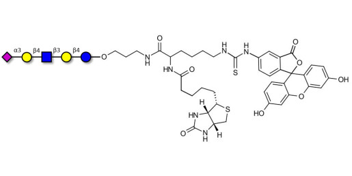 LS-Tetrasaccharide d (LSTd)  linked to biotin and fluorescein (Linker-BT-FLUO A) - Sialyl-lacto-N-neotetraose d ; SLNnT-d