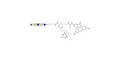 LS-Tetrasaccharide d (LSTd)  linked to biotin and fluorescein (Linker-BT-FLUO A) - Sialyl-lacto-N-neotetraose d ; SLNnT-d