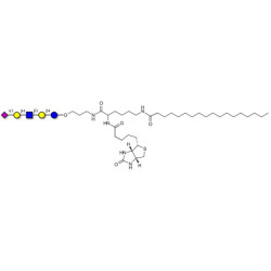 LS-Tetrasaccharide d (LSTd)  linked to biotin and stearic chain (Linker-BT-STEA A)