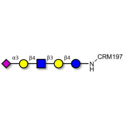 LS-Tetrasaccharide d (LSTd)  grafted on CRM197