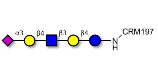 LS-Tetrasaccharide d (LSTd)  grafted on CRM197 - Sialyl-lacto-N-neotetraose d ; SLNnT-d