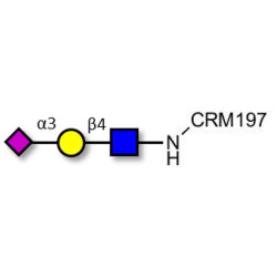 3'-α-sialyl-Acetyl-Lactosamine (3'SIA-LN) grafted on CRM197