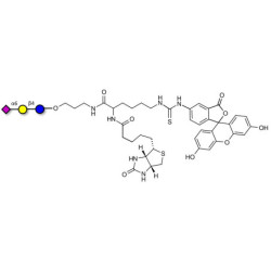 2,6'-Sialyllactose (6'-SL) linked to biotin and fluorescein (Linker-BT-FLUO A)
