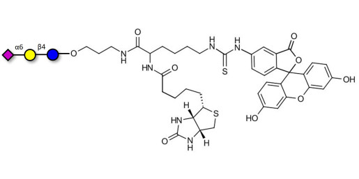 2,6'-Sialyllactose (6'-SL) linked to biotin and fluorescein (Linker-BT-FLUO A) - 6'-SL ; N-Acetylneuramin-lactose