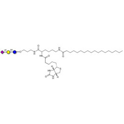 2,6'-Sialyllactose (6'-SL) linked to biotin and stearic chain (Linker-BT-STEA A)