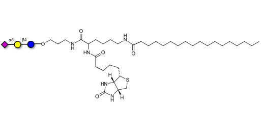 2,6'-Sialyllactose (6'-SL) linked to biotin and stearic chain (Linker-BT-STEA A) - 6'-SL ; N-Acetylneuramin-lactose