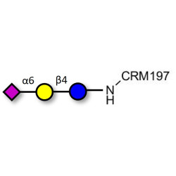2,6'-Sialyllactose (6'-SL) grafted on CRM197
