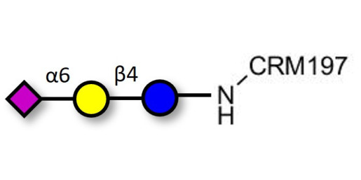 2,6'-Sialyllactose (6'-SL) grafted on CRM197 - 6'-SL ; N-Acetylneuramin-lactose