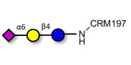 2,6'-Sialyllactose (6'-SL)...