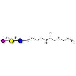 2,6'-Sialyllactose (6'-SL) with terminal azide (Linker-N3 B)