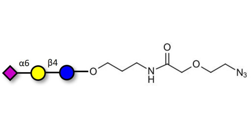 2,6'-Sialyllactose (6'-SL) with terminal azide (Linker-N3 B) - 6'-SL ; N-Acetylneuramin-lactose