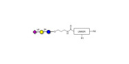 2,6'-Sialyllactose (6'-SL)...