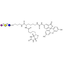 3'-Sialyllactose (3'-SL) / GM3 Ganglioside oligosaccharide linked to biotin and fluorescein (Linker-BT-FLUO A)