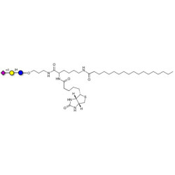 3'-Sialyllactose (3'-SL) / GM3 Ganglioside oligosaccharide linked to biotin and stearic chain (Linker-BT-STEA A)