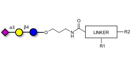 3'-Sialyllactose (3'-SL) / GM3 Ganglioside oligosaccharide with customizable dual functionalization  - 3'SL; N-Acetylneuraminoyllactose; (2, 3')-a-Sialyllactose; 3'-a-Sialyllactose; a-Neu5Ac-(2-3)-/3-D. Gal-(1-4)-D-Glc; 3'-N-Acetylneuraminyl-D-lactose