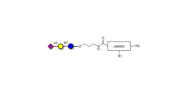3'-Sialyllactose (3'-SL) /...