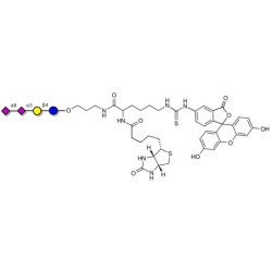 GD3 Ganglioside oligosaccharide / Disialyl lactose (DSL) linked to biotin and fluorescein (Linker-BT-FLUO A)