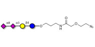 GD3 Ganglioside...