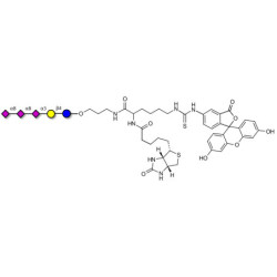 GT3 Ganglioside oligosaccharide linked to biotin and fluorescein (Linker-BT-FLUO A)
