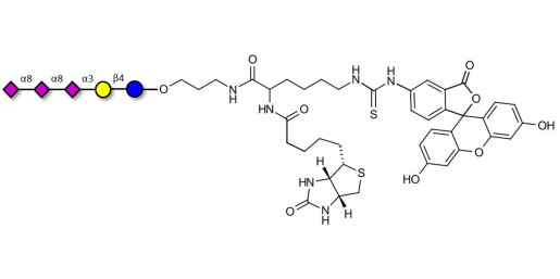 GT3 Ganglioside oligosaccharide linked to biotin and fluorescein (Linker-BT-FLUO A) - Trisialyl lactose 