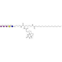 GT3 Ganglioside oligosaccharide linked to biotin and stearic chain (Linker-BT-STEA A)