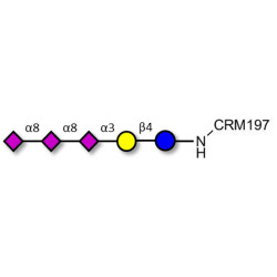 GT3 Ganglioside oligosaccharide grafted on CRM197
