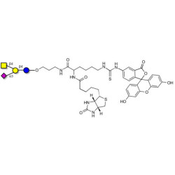 GM2 Ganglioside oligosaccharide linked to biotin and fluorescein (Linker-BT-FLUO A)