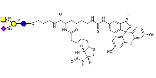 GM2 Ganglioside oligosaccharide linked to biotin and fluorescein (Linker-BT-FLUO A)