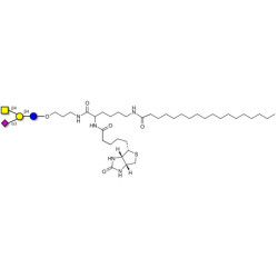 GM2 Ganglioside oligosaccharide linked to biotin and stearic chain (Linker-BT-STEA A)