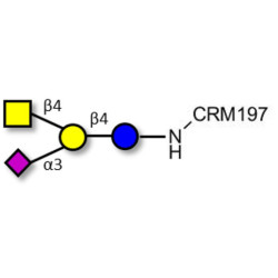 GM2 Ganglioside oligosaccharide grafted on CRM197