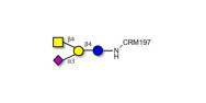 GM2 Ganglioside...