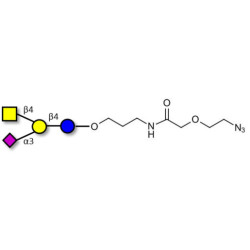 GM2 Ganglioside oligosaccharide with terminal azide (Linker-N3 B)