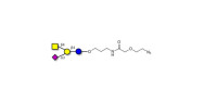 GM2 Ganglioside...