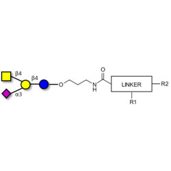 GM2 Ganglioside oligosaccharide with customizable dual functionalization 