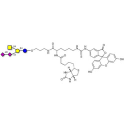 GD2 Ganglioside oligosaccharide linked to biotin and fluorescein (Linker-BT-FLUO A)