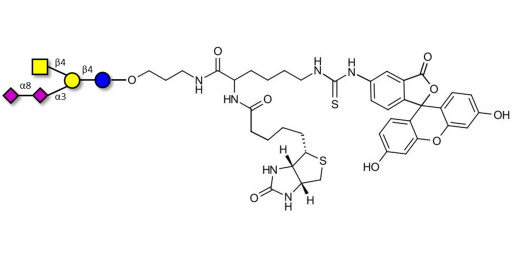 GD2 Ganglioside oligosaccharide linked to biotin and fluorescein (Linker-BT-FLUO A)