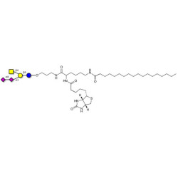 GD2 Ganglioside oligosaccharide linked to biotin and stearic chain (Linker-BT-STEA A)