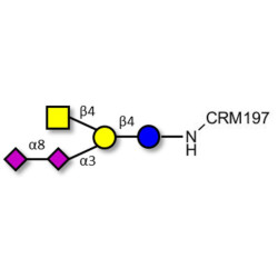 GD2 Ganglioside oligosaccharide grafted on CRM197