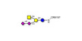 GD2 Ganglioside oligosaccharide grafted on CRM197