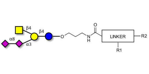 GD2 Ganglioside oligosaccharide with customizable dual functionalization 