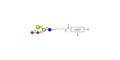 GD2 Ganglioside oligosaccharide with customizable dual functionalization 