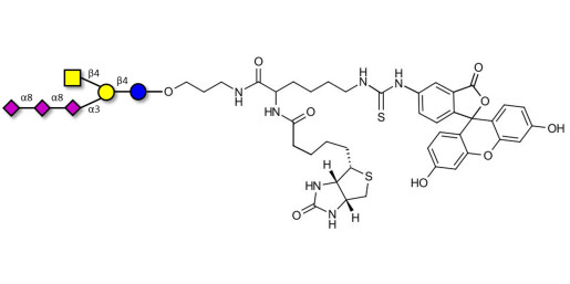 GT2 Ganglioside oligosaccharide linked to biotin and fluorescein (Linker-BT-FLUO A)